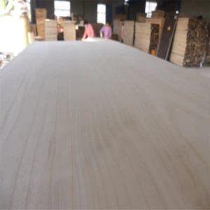 Bord Paulownia do Kiteboard